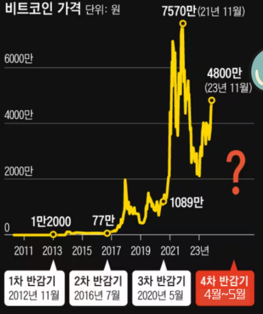 비트코인반감기 비트코인 가격 코인시장