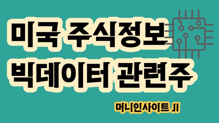 미국 빅데이터 관련주 산업지도